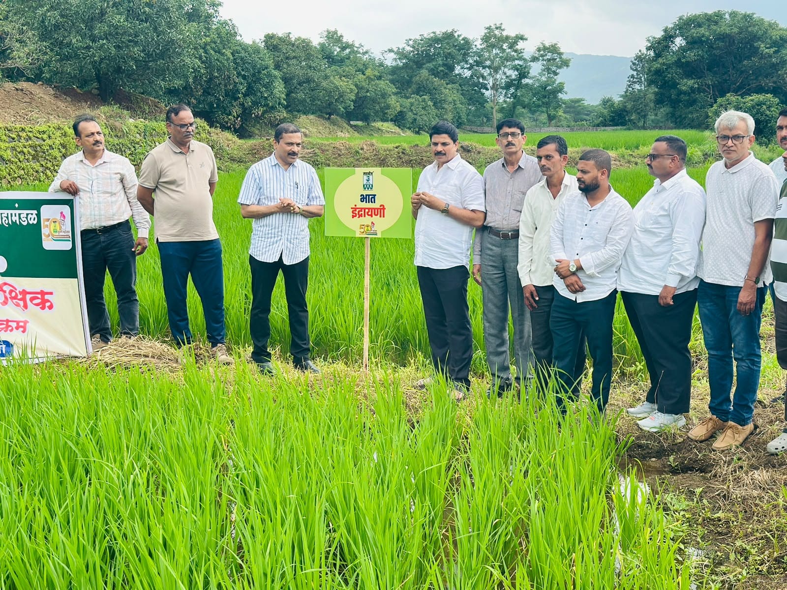 A field visit and demonstration program for the 'Indrayani' paddy crop 0809-2026